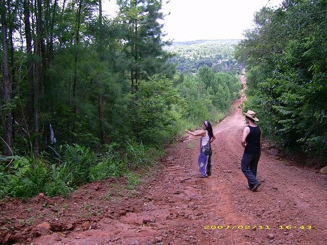 camino arriba de Opaybo.jpg